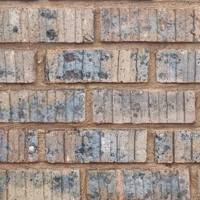 Clay Bricks (NFX Blue) - Image 3