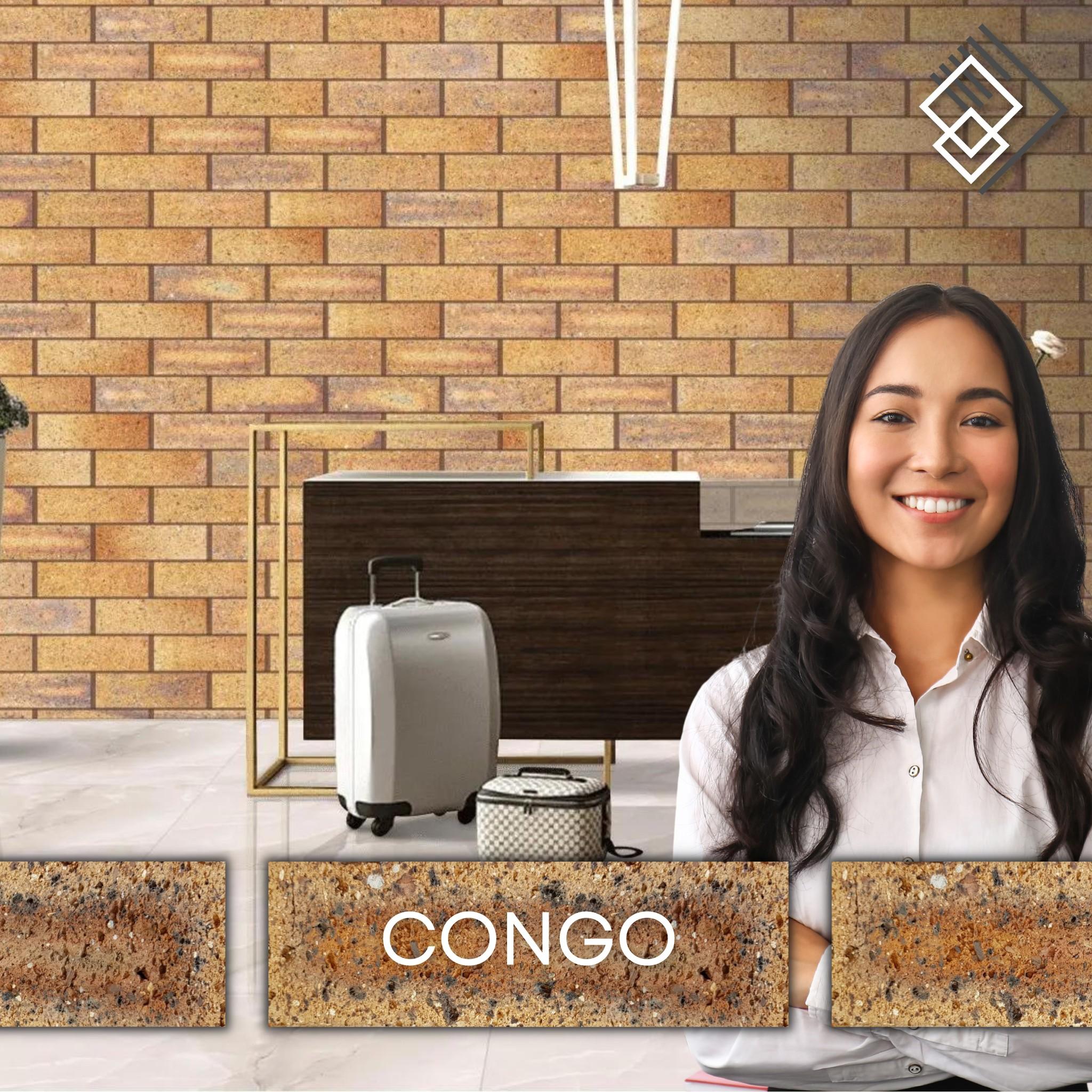 Congo Brick Tiles - Image 5